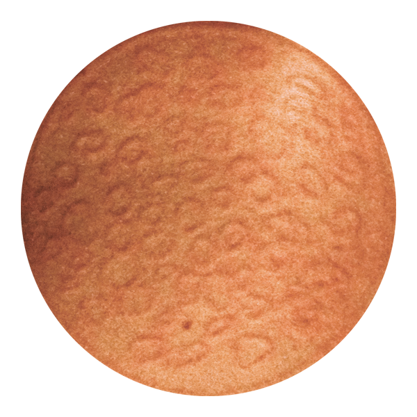 photo of virus v01-011515