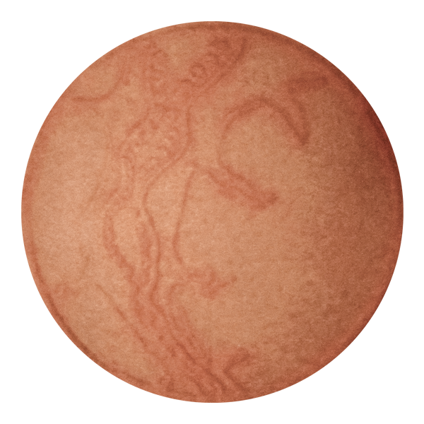 photo of virus v04-062114