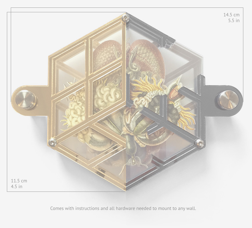 Artwork dimensions